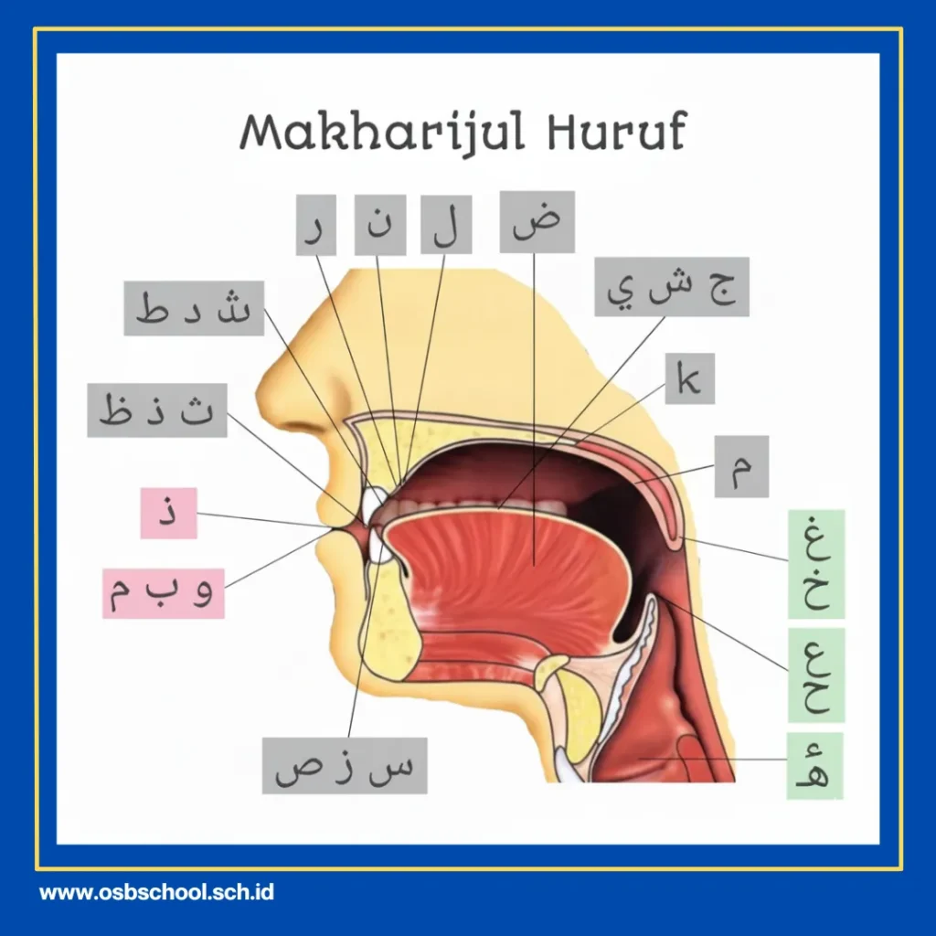 Istilah Untuk Membaca Alquran