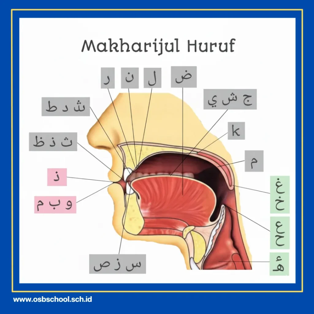 Membaca Alquran dengan Tajwid