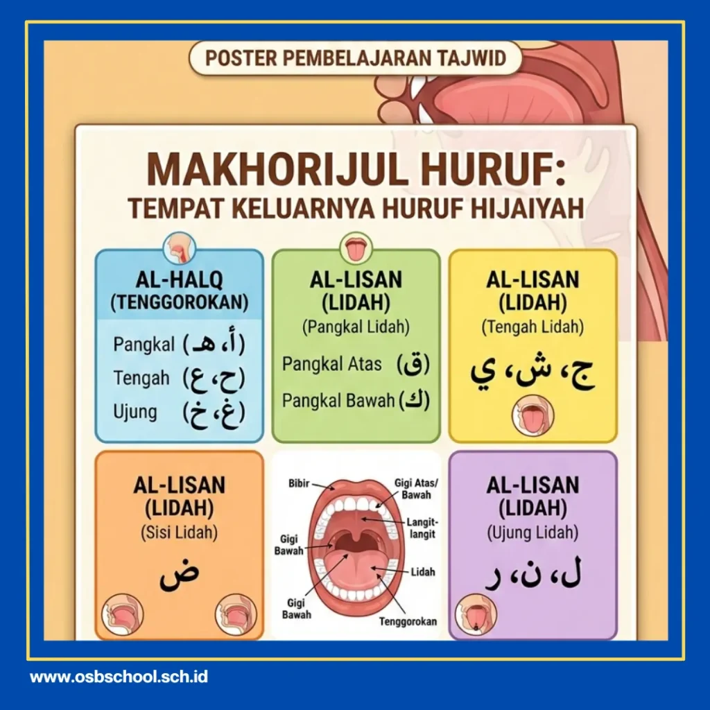 apa hukum membaca alquran dengan baik dan benar