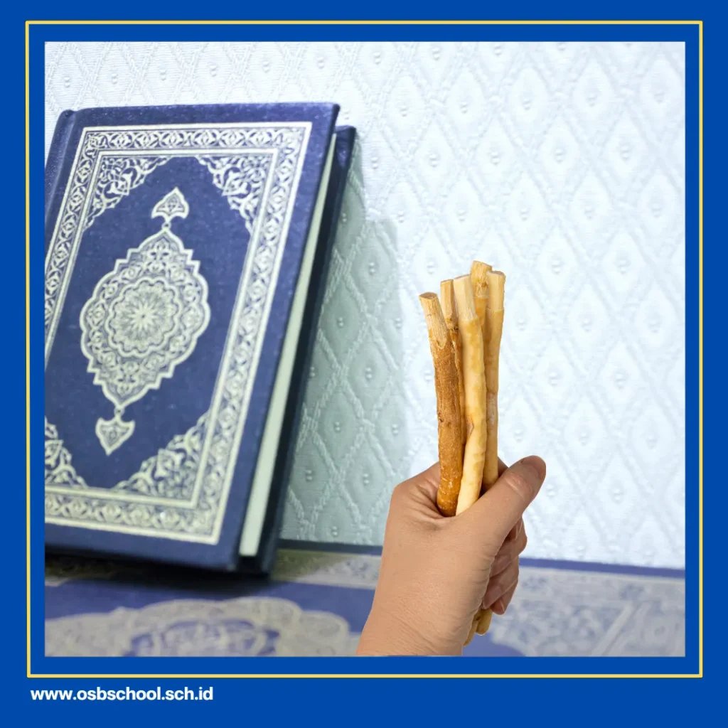 apa yang kita lakukan sebelum membaca alquran